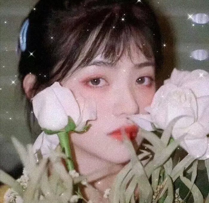 情歌风波