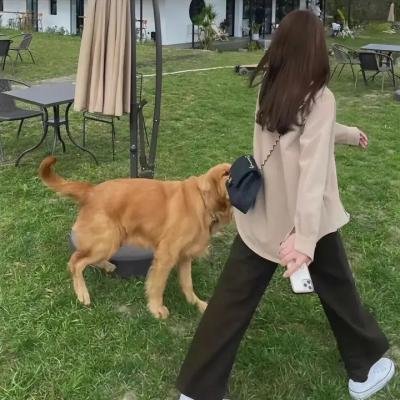 汉城彩虹